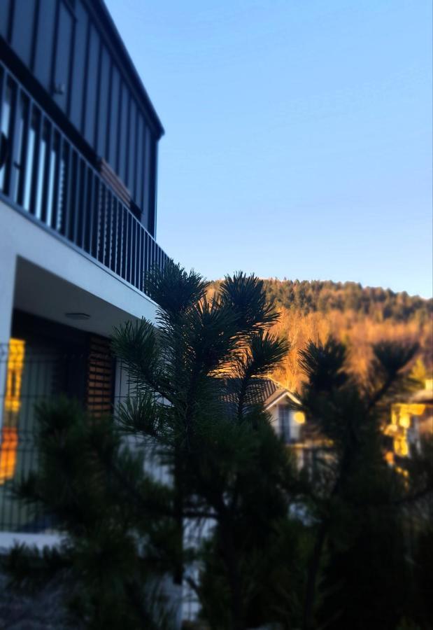 Apartament "Oldmountain" Olimpijska 1C 1 Szczyrk Luaran gambar